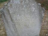 image of grave number 78950